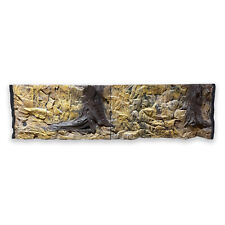 🐠 Parete posteriore