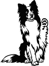 Adesivo Border Collie -