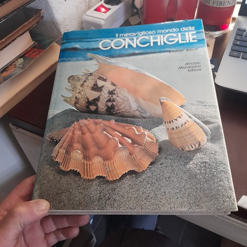 Meraviglioso mondo delle - il,