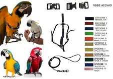 Pettorina pappagalli misura