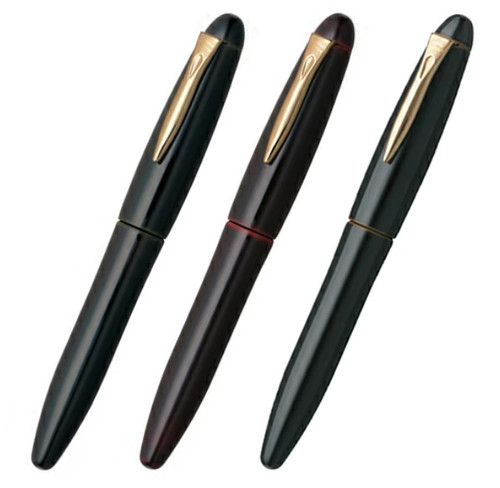 Penna stilografica platinum - penna,