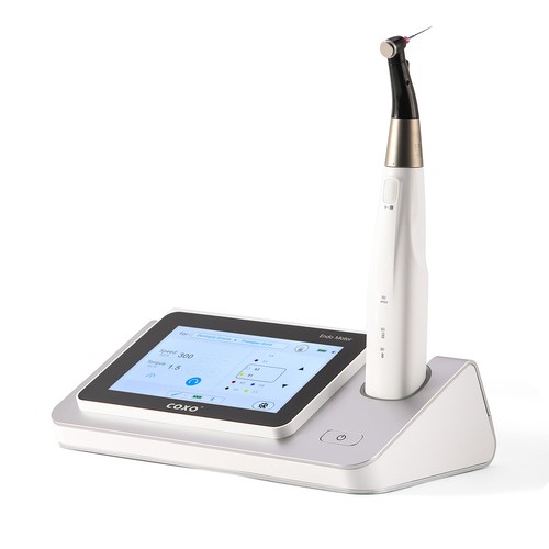 Coxo dental endo - coxo,