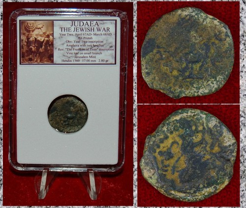 Moneta antica giudea guerra - moneta, la
