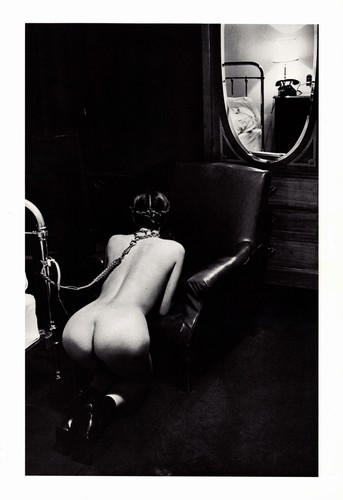 Helmut newton hotel - helmut,