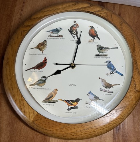 Orologio parete analogico - parete,
