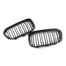 Griglia radiatore anteriore