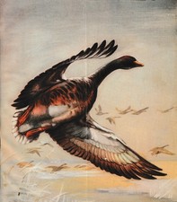 1950 ROBERTO LEMMI CACCIA VENATORIA OCA IN VOLO  MONOTIPO STAMPA