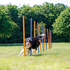 Dog Agility Slalom Course - 12