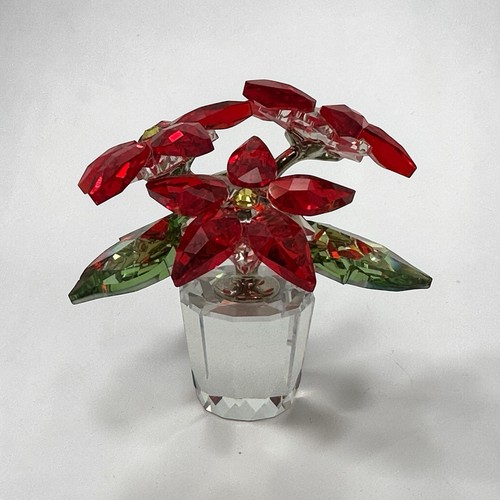 Vaso fiori - , poinsettia