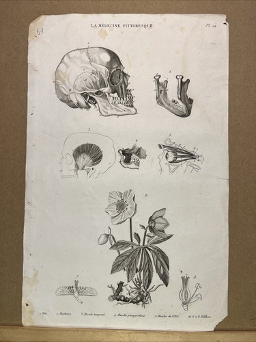 Illustrazione antica 1834