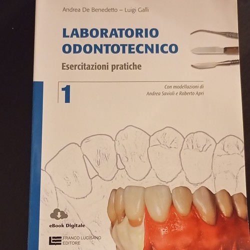 Franco lucisano laboratorio - franco,