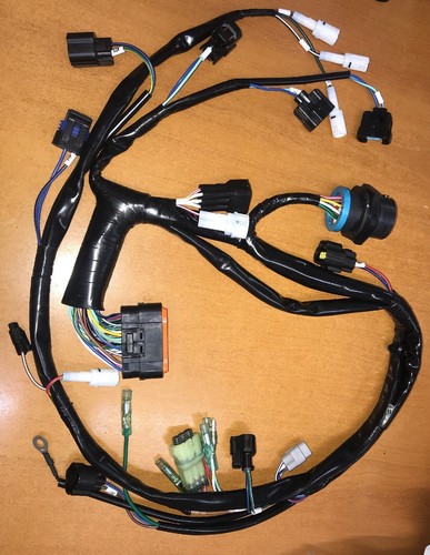 Cavo ecu - (cablaggio, motore)