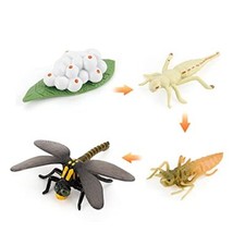 Set di figurine animali, ciclo