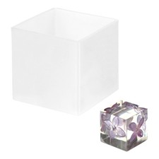 Stampo in resina cubo 2"