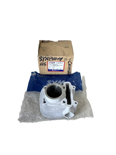 Gruppo termico cilindro sym - gruppo,