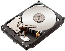 Hard disk 1TB (1000GB) 3,5" /