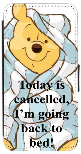 Winnie pooh bear - pooh,