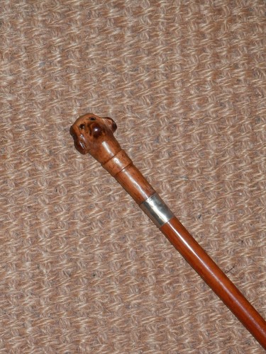 Antica testa cane - antica, di