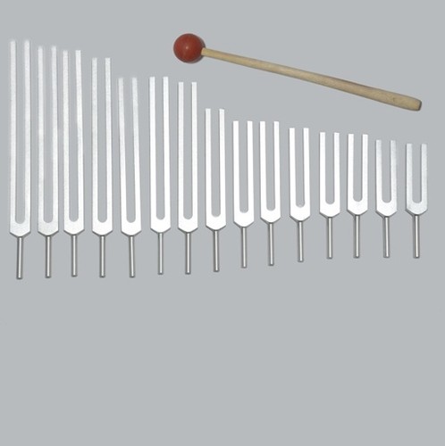 Umano corpo organo tuning - corpo,