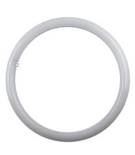 Lampada Circolina LED 18W LUCE FREDDA 6500K ATTACCO  G10Q