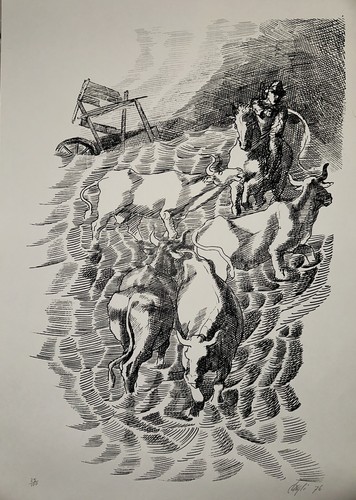 Corrado cagli - corrado,