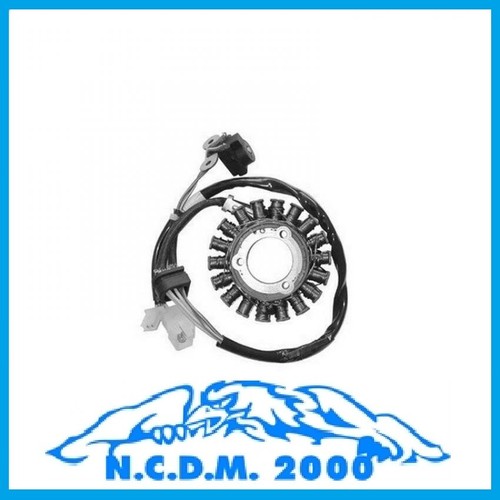 Statore magnete volano - statore,