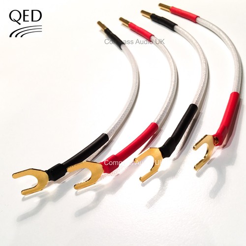 Qed silver anniversary - anniversary, xt