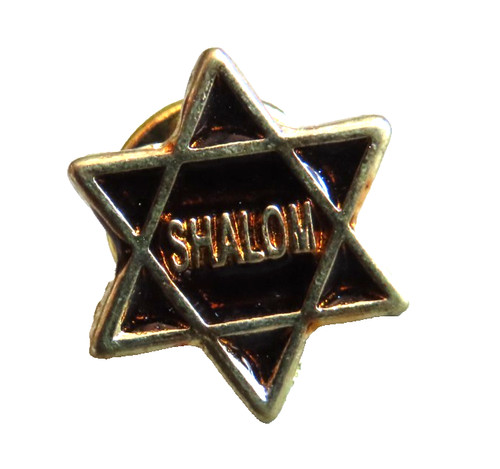 Spilla stella david shalom - spilla,