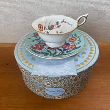Wedgwood Arlecchino Turchese