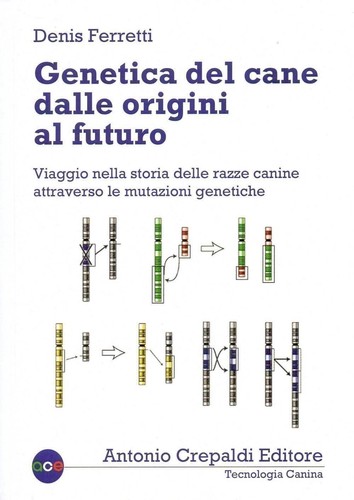 Libro denis ferretti - -,