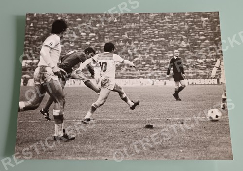 Sisti maselli foto - -,