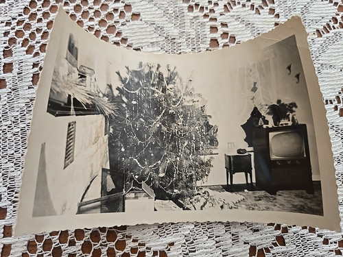 Ritrovata fotografia vintage - ritrovata,