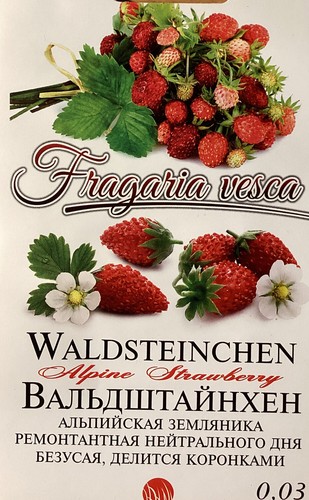 Fragole di bosco - 50..., 🍓