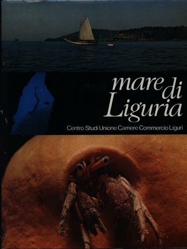 Mare liguria centro - mare,