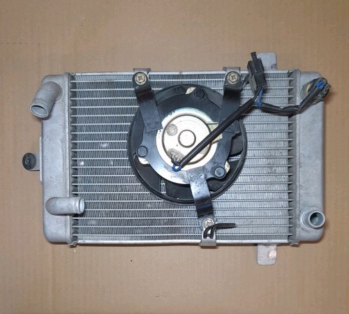 Radiatore suzuki burgman 400 - radiatore,