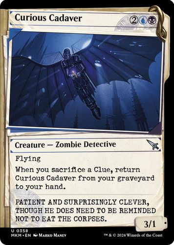 Curious cadaver 0358 - 0358, assassini