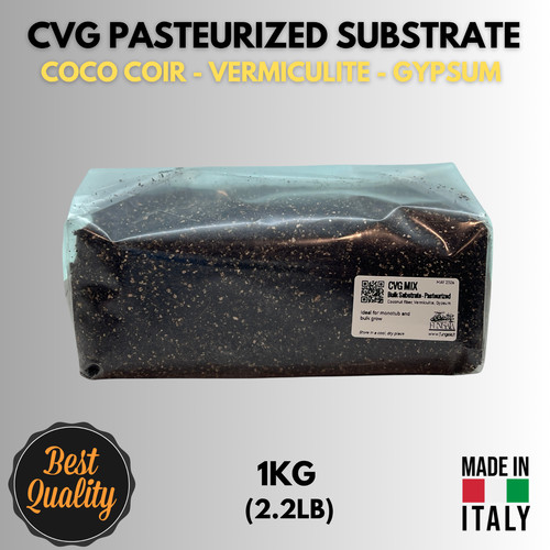 Cvg mushroom substrate 1kg - cvg,