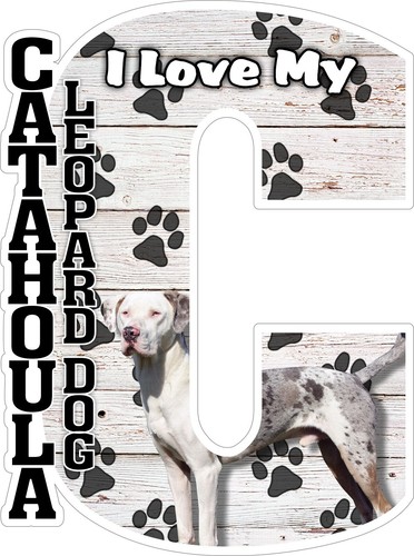 Calamita frigo cane leopardo - , i