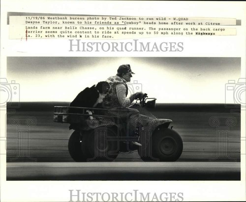 1986 press photo - photo, taylor