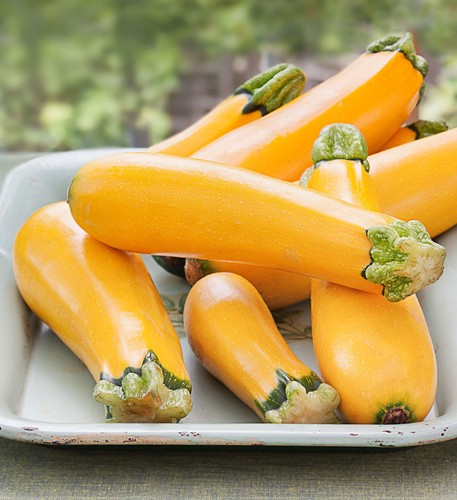 Zucchine dorate giallo 5 - dorate,