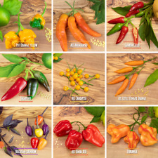 Mix Semi Peperoncino - 100