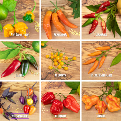 Mix semi peperoncino 100 - semi,