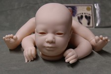 Laila awake realborn - awake,