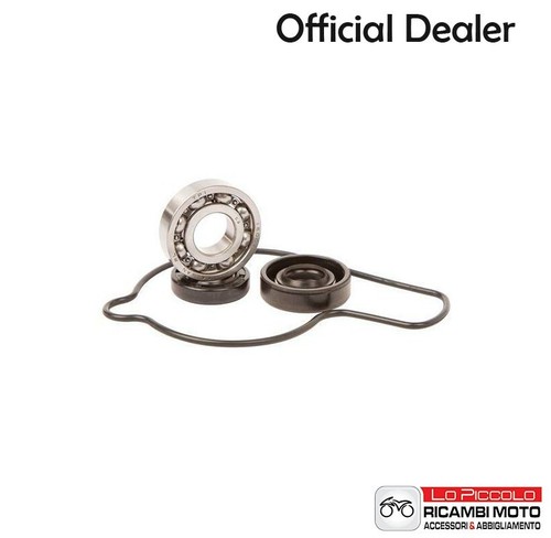 Wpk0006 kit revisione pompa - wpk0006,