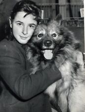 Foto vintage Regno Unito, Keeshond Club, Competizione canile, Cane, 1955