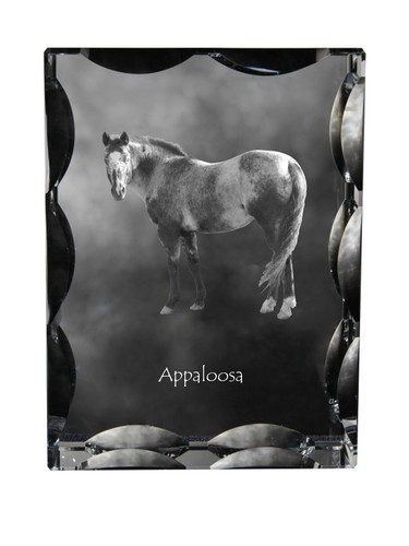 Appaloosa cornice cristallo - cornice, di