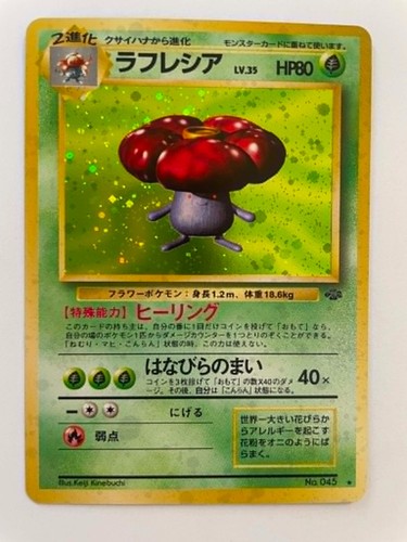 Rafflesia vileplume - /, –