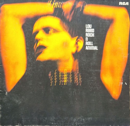 Lou reed rock roll - roll, animal