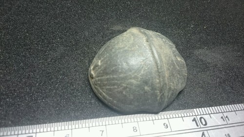 Pezzo campana crotale - , in