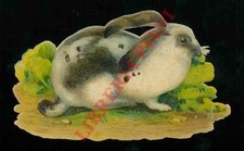 Ritagli cromolitografici - Conigli/lepre.